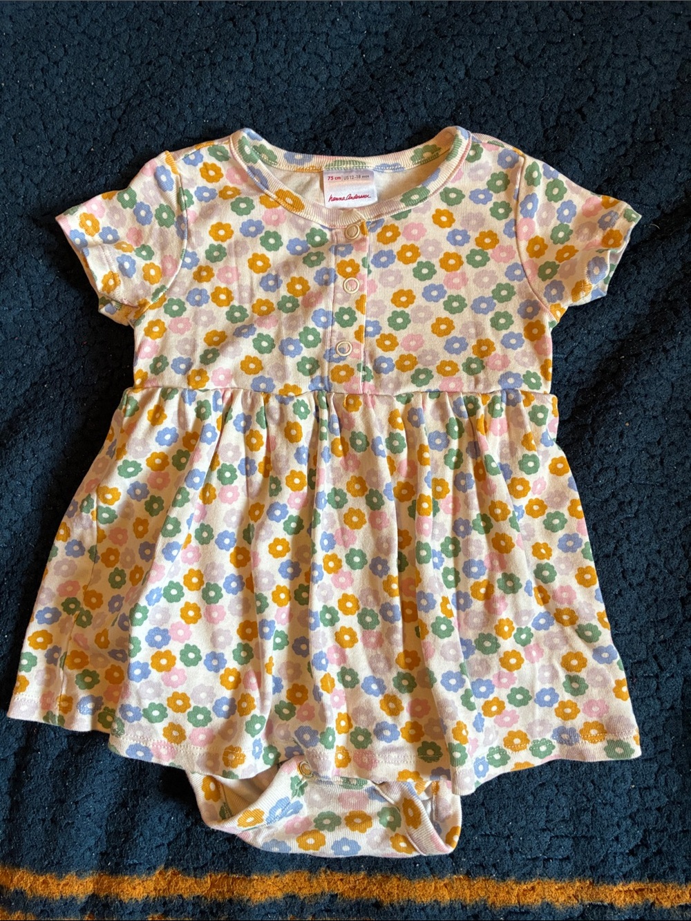 Hanna Andersson Floral Ruffle romper